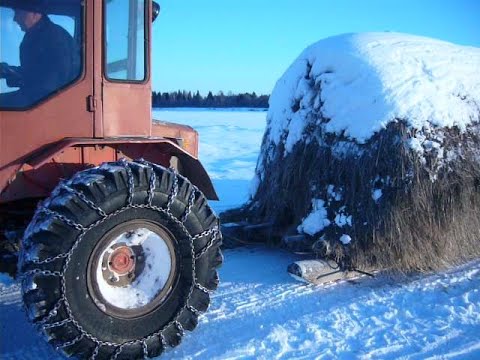 Видео: Т-16 с лебедкой тянет стог сена. Как это было раньше. 2010г.