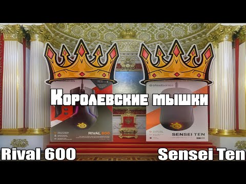 Видео: Мажорные грызуны | Сравнение мышей SteelSeries Rival 600 и SteelSeries Sensei Ten