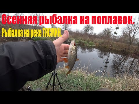 Видео: Осенняя рыбалка на поплавок.Ловля плотвы на реке ТЯСМИН.