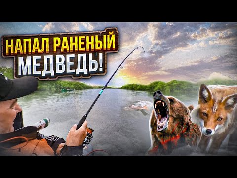 Видео: ЭТУ РЫБАЛКУ ЦЕНЯТ МЕСТНЫЕ! Мощная чавыча - королевский лосось. Нападение РАНЕНОГО МЕДВЕДЯ. Выжить!