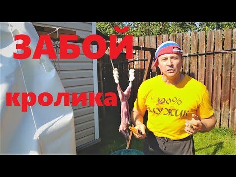 Видео: ЗАБОЙ КРОЛИКА % Как правильно и быстро забить КРОЛИКА % инструкция