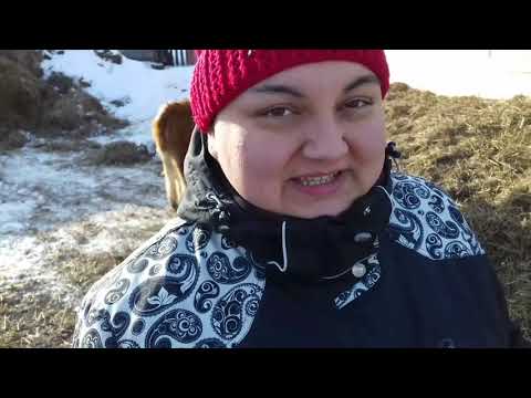 Видео: Накипело......разговор о плотности и жирности молока.
