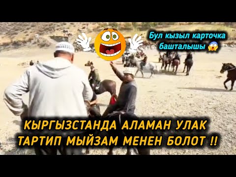 Видео: Кыргызстанда аламан улак тартип мыйзам менен болот 🇰🇬🐎✊️