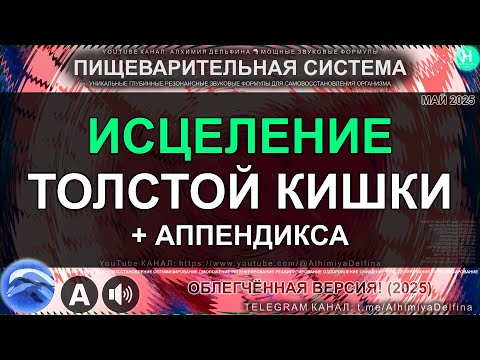 Видео: 🌱 Здоровье Аппендикса и Толстой Кишки 🔄 Глубокое Восстановление, Очищение и Омоложение Кишечника 🔊🧬