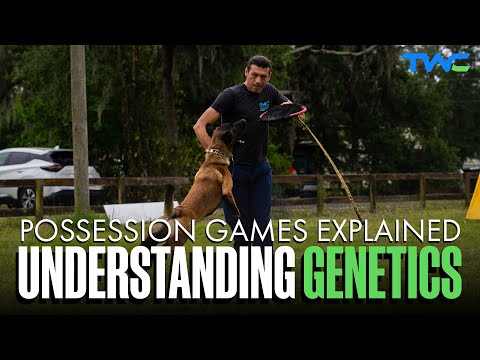 Видео: ОБЪЯСНЕНИЕ ИГРЫ НА ВЛАДЕНИЕ || Понимание и использование генетики во время игры