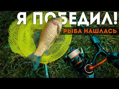 Видео: 🔥СЕКРЕТ Розовой приманки! РОТАН игнорирует, КАРАСЬ атакует! #мормышинг #топ #рыбалка #fishing