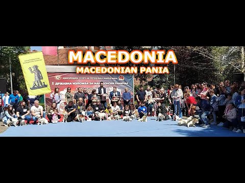 Видео: Документарен филм „Прва државна изложба за македонски паничар“