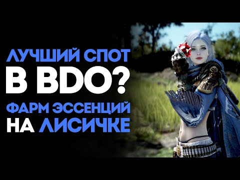 Видео: ЛУЧШИЙ СПОТ В BDO? — ГАЙД ПО ЗАСТАВЕ КРАСНЫХ РАЗБОЙНИКОВ СТРАНЫ УТРА! ЛИСИЧКА, ДАЙ КАМУШКОВ...