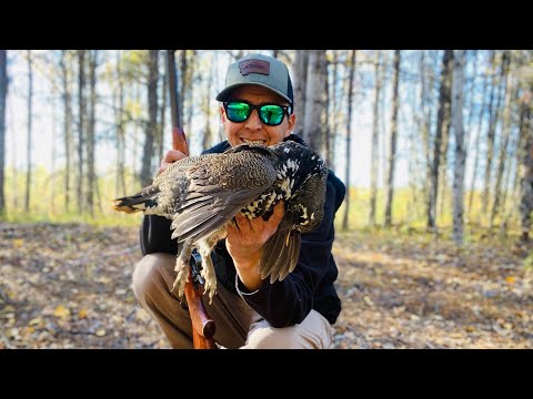 Видео: Лучшие советы по охоте на тетерева (для новичков)