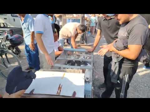 Видео: 10 августа 2025 г.