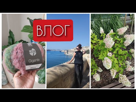 Видео: Влог 31. Новая пряжа🌟 Новая идея☘️ Посылки🍫 Мальта🍑