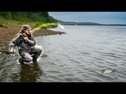 Видео: Микроджиг на большой реке. Где ловить на спиннинг с берега на реке Кама. [Пора ловить окуня]