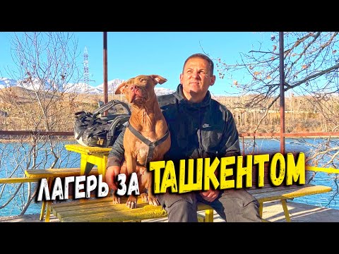 Видео: Заброшенный детский лагерь в горах недалеко от Ташкента