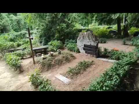 Видео: Кладбище Райниса Рига Латвия могила Лилита Озолиня