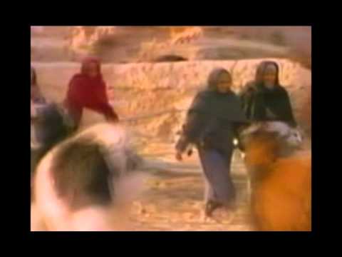 Видео: Айша Әбу Бәкірқызы. 1-бөлім. Асыл аналар. Асыл арна