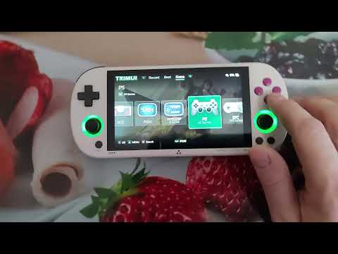 Видео: Портативная игровая приставка Trimui Smart Pro в 2024 году