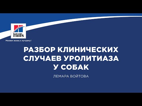 Видео: Вебинар на тему: “Разбор клинических случаев уролитиаза у собак”. Лектор - Лемара Войтова.