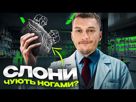 Видео: 🔊 Як звучить наука? Вогонь, хвилі, вода і... розбитий келих | НаукТоп #2
