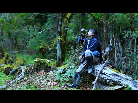 Видео: Соус из говядины | Мясо горной дичи, приправленное местным куриным маслом, острое и свежее.Liziqi