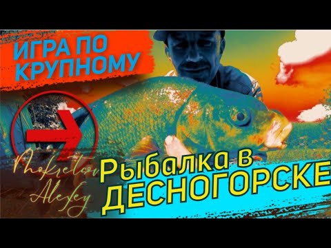 Видео: Рыбалка в Десногорске  Игра по крупному