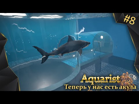 Видео: Aquarist, #8, у нас есть акула!