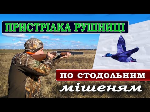 Видео: Пристрілка рушниці по стодольним мішеням