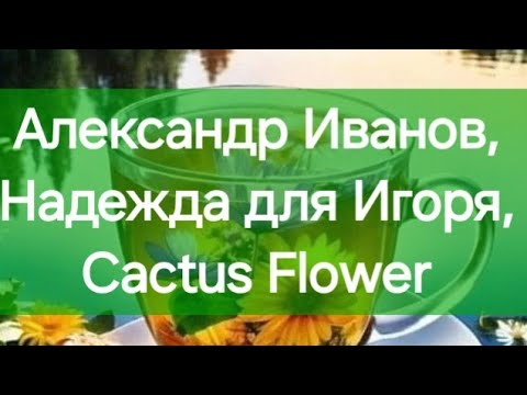 Видео: Александр Иванов, Надежда для Игоря, Cactus Flower