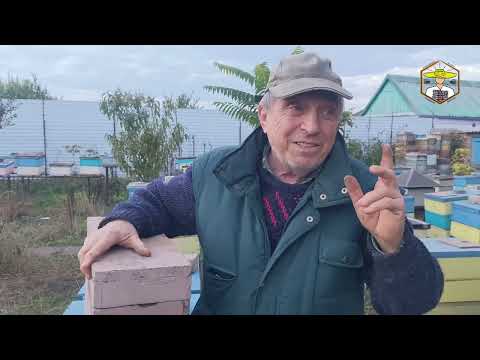 Видео: 3-х рамковий вулик для зимівлі / В гостях у пасічника 🏡🐝🍯