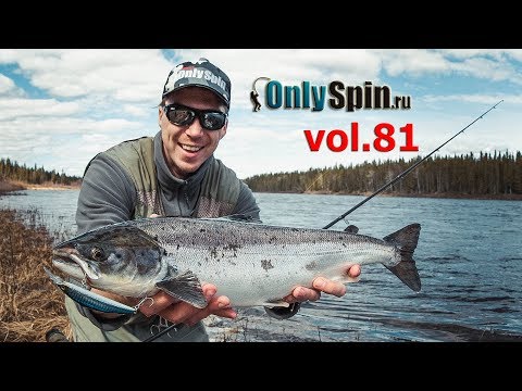 Видео: Кольский полуостров  Ловля семги  Часть 1  #OnlySpin