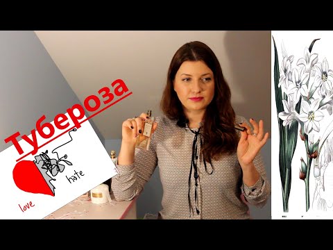 Видео: Тубероза. От ненависти до... дружбы 😜 ТОП 10 ароматов (люкс, ниша, бюджет)