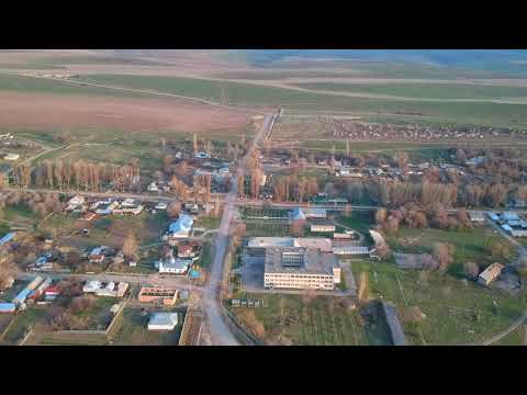 Видео: Үлкен сұлутөр