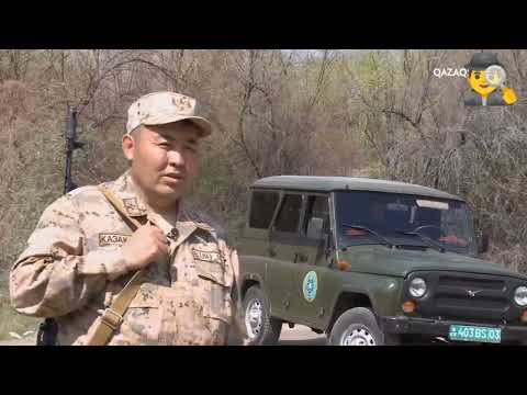 Видео: Қытайдан шекара бұзушы Қазақстанға өтіп, кері шыққан.