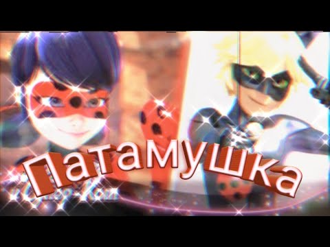 Видео: Клип Леди баг и Супер кот на песню "Патамушка"