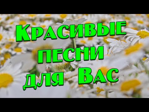 Видео: Заходи и Слушай! Здесь самые Красивые песни!