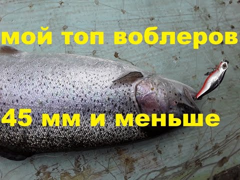 Видео: Мой топ воблеров 45 и меньше