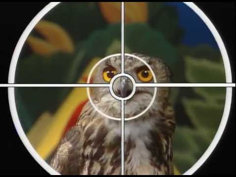 Видео: Бушава азбука - Ќ