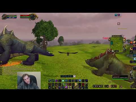 Видео: Разговариваю и тащу — многозадачность по-пандарийски✨