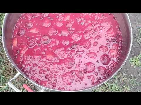 Видео: Сливовица, Аламбик и Французская бочка Allary