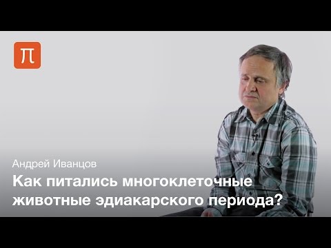 Видео: Древнейшие многоклеточные животные — Андрей Иванцов