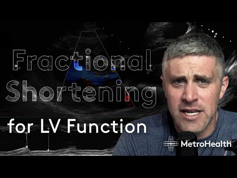 Видео: Фракционное укорочение фракции выброса ЛЖ