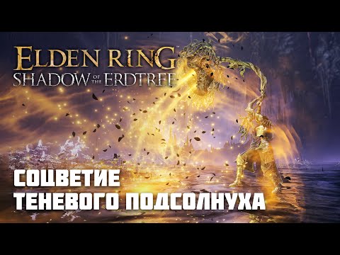 Видео: СОЦВЕТИЕ ТЕНЕВОГО ПОДСОЛНУХА | ОРУЖИЕ ИЗ DLC | Elden Ring PvP