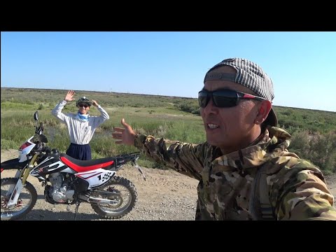 Видео: ОХОТНИКИ ЗА ЗМЕЙГОЛОВАМИ...