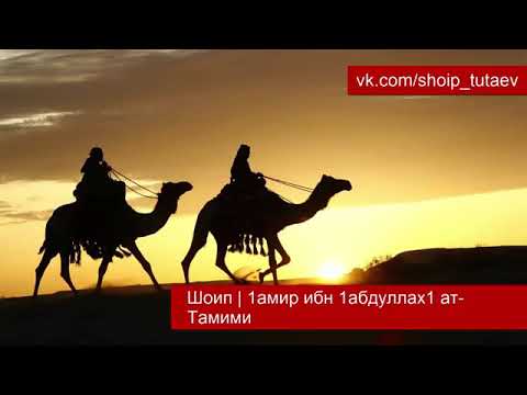 Видео: Шоип _ 1амир ибн 1абдуллах1 ат-Тамими