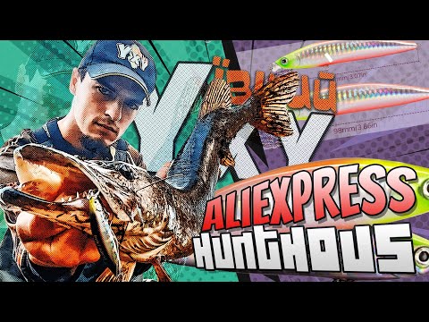 Видео: Ухуївший Aliexpress. Hunthouse iBorn