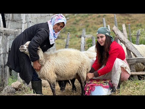 Видео: Ностальгические ароматы курицы в глиняной духовке! 🏡