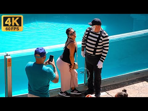 Видео: Том — самый живой и веселый мим в SeaWorld Orlando 😂🤣 #tomthemime #seaworldmime
