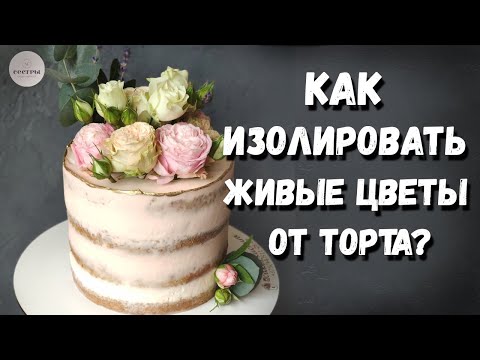 Видео: Как изолировать живые цветы от торта? Цветы, которые ЗАПРЕЩЕНО ❌использовать в торте.