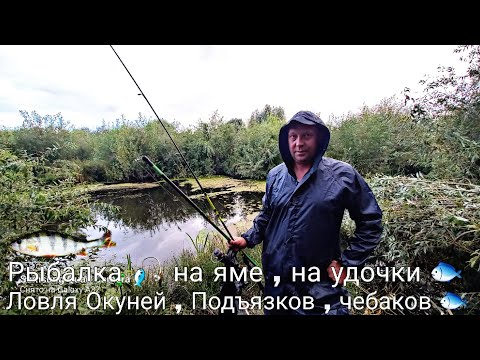 Видео: Рыбалка 🎣 на яме , на попловочные удочки 🐟. Ловля Окуней , Чебаков , Ушёл Подъязок!