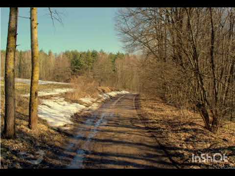 Видео: Контрольный диктант по белорусскому языку  9 класс