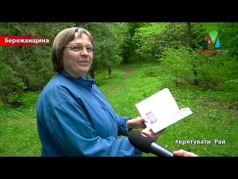 Видео: Палац та парк Потоцьких, що в селі Рай, потребують відновлення